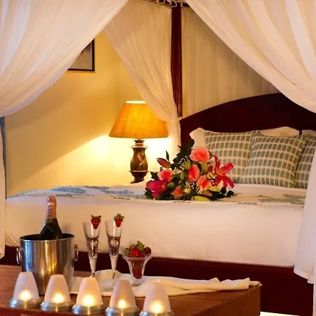 Petinos Hotel Platys Gialos (Mykonos)